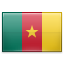 Country Flag of Cameroon