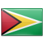 Country Flag of Guyana