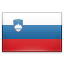 Country Flag of Slovenia
