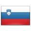 Country Flag of slovenia