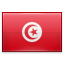 Country Flag of Tunisia