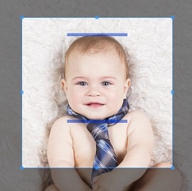 How to crop photo